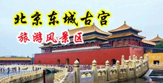 色情插插中国北京-东城古宫旅游风景区