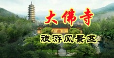 骚逼美女被我操中国浙江-新昌大佛寺旅游风景区